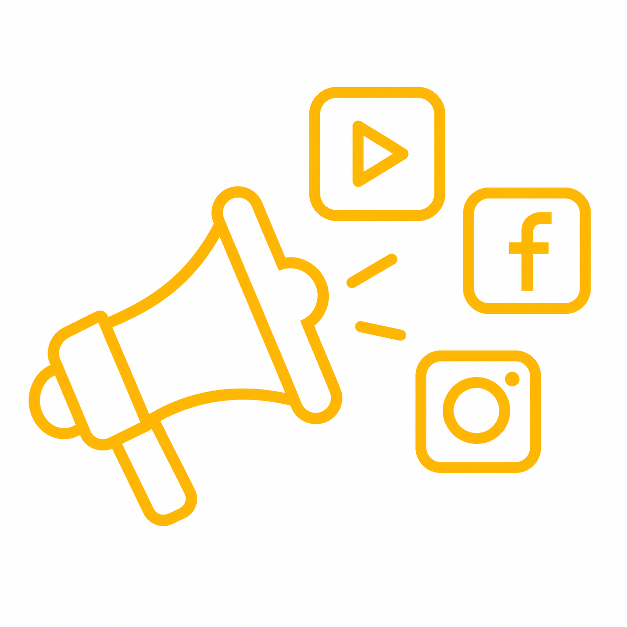 Social Media Marketing India